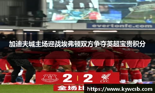 加迪夫城主场迎战埃弗顿双方争夺英超宝贵积分